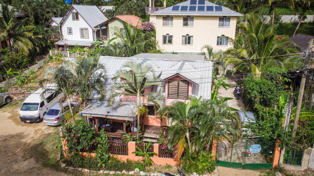 Roatan Backpackers' Hostel Sandy Bay Eksteriør billede